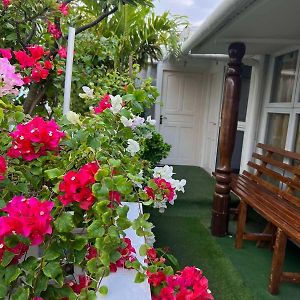 Double Room Terrace